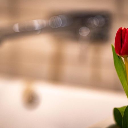 Logis Hotel Quartier 5, Saechsische Schweiz, Mit Restaurant, Cafe & Bar 卡劳特格瑞斯赫 外观 照片