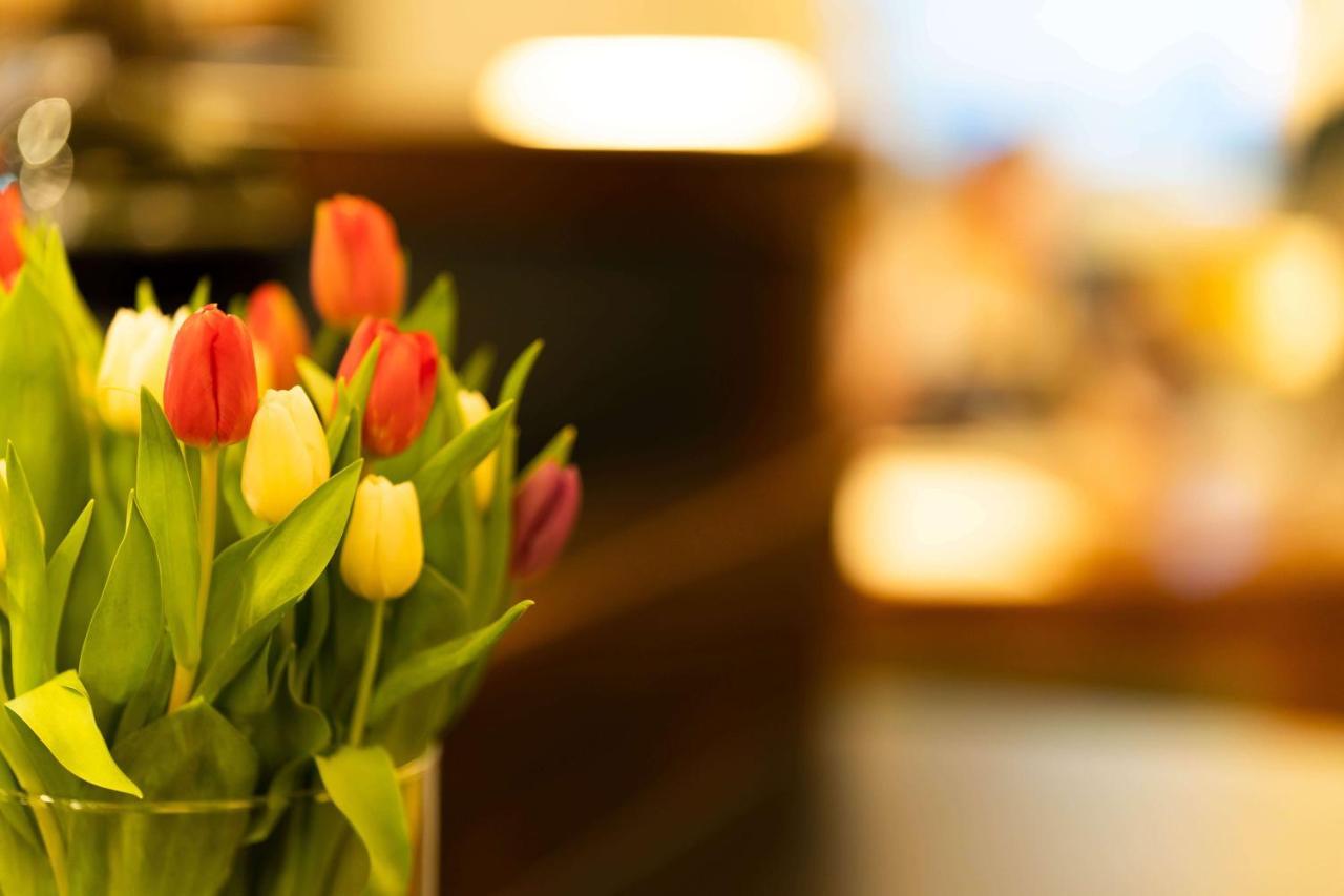 Logis Hotel Quartier 5, Saechsische Schweiz, Mit Restaurant, Cafe & Bar 卡劳特格瑞斯赫 外观 照片
